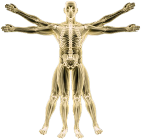 The Whole Body Approach - Dr. Carr Integrative PT